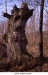 4Viel-arbre-mort