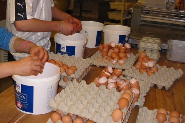 Fleschschnecke06_La-pate1 Fleschschnecke06_La-pate1