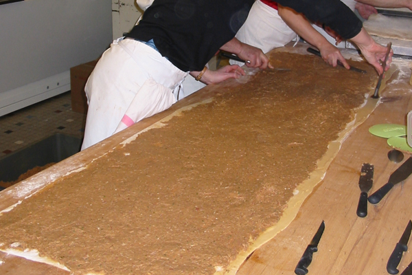 Fleschschnecke16_Etalement3 Fleschschnecke16_Etalement3