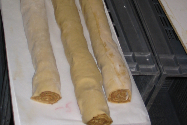 Fleschschnecke20_Enroulement4 Fleschschnecke20_Enroulement4